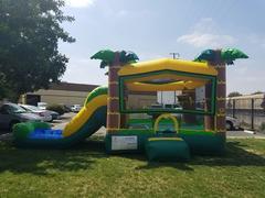 Combo Tropical Waterslide Combo Tropical Waterslide