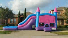 Pink Castle Waterslide Pink Castle Waterslide
